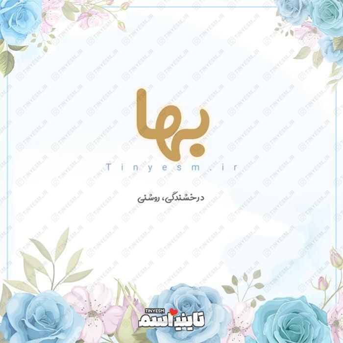 معنی اسم بها | حروف ابجد و ریشه بها + طالع بینی نام بها - تاینی اسم
