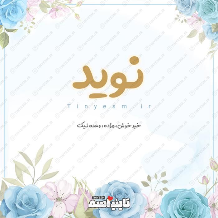 معنی اسم نوید | حروف ابجد و ریشه نوید + طالع بینی نام نوید - تاینی اسم