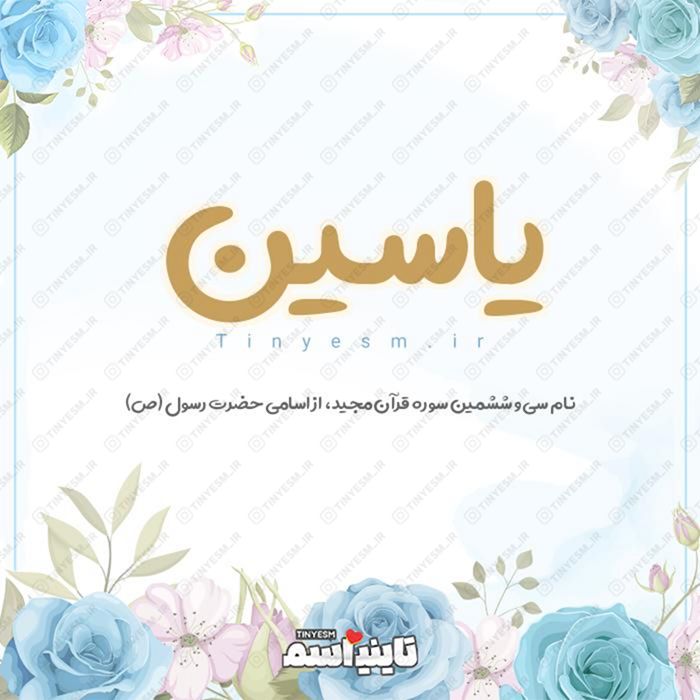 معنی اسم یاسین | حروف ابجد و ریشه یاسین + طالع بینی نام یاسین - تاینی اسم