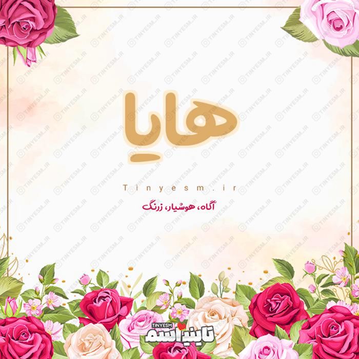 معنی اسم هایا | حروف ابجد و ریشه هایا + طالع بینی نام هایا - تاینی اسم