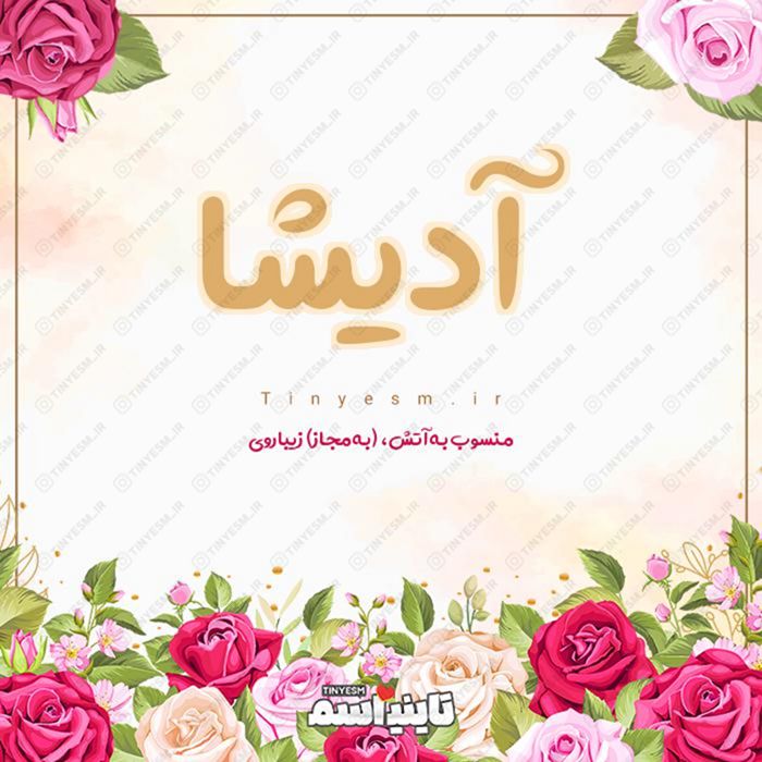 اسم آدیشا و معنی اسم آدیشا