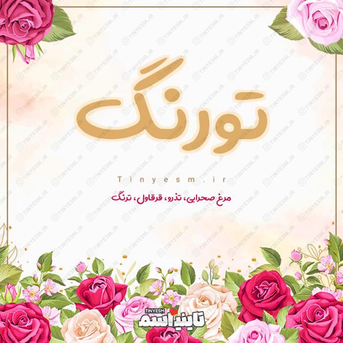 اسم تورنگ و معنی اسم تورنگ
