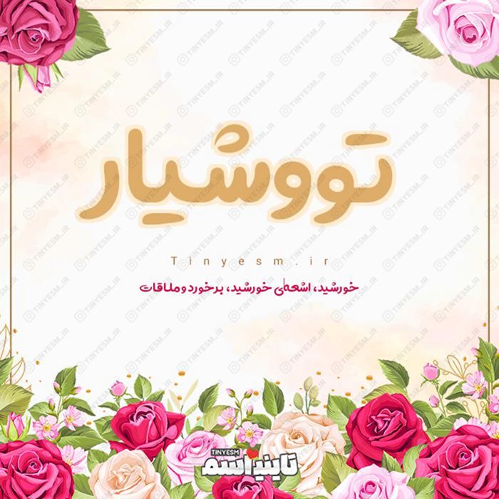 اسم تووشیار و معنی اسم تووشیار