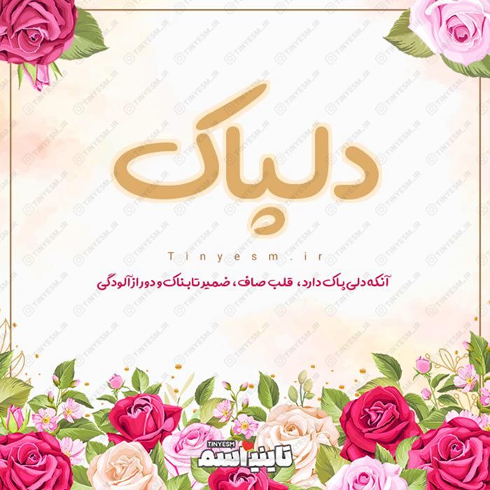 اسم دلپاک و معنی اسم دلپاک