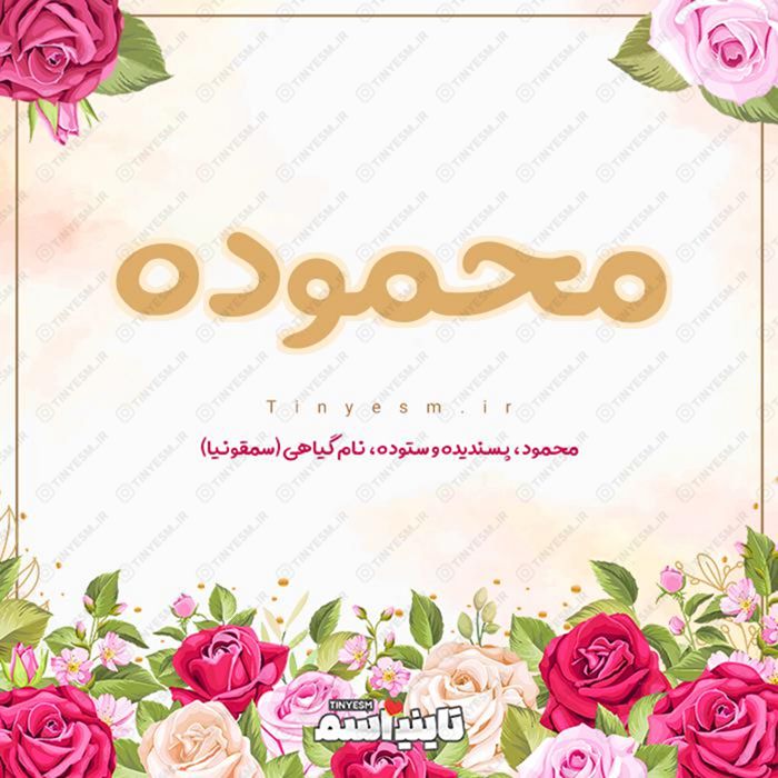 اسم محموده و معنی اسم محموده