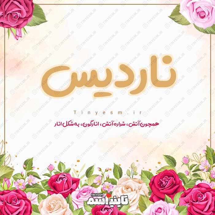اسم ناردیس و معنی اسم ناردیس