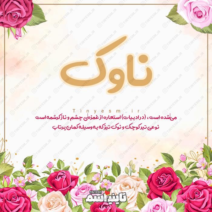 اسم ناوک و معنی اسم ناوک