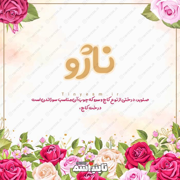 اسم ناژو و معنی اسم ناژو