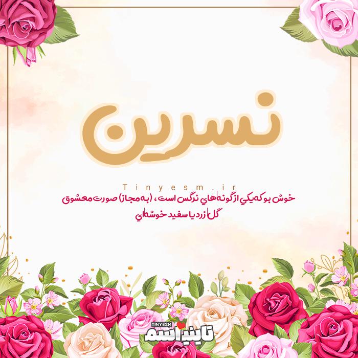 اسم نسرین و معنی اسم نسرین