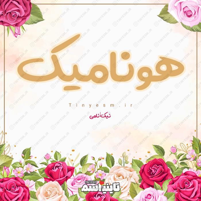 اسم هونامیک و معنی اسم هونامیک