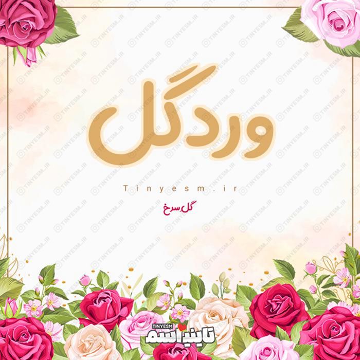 اسم وردگل و معنی اسم وردگل