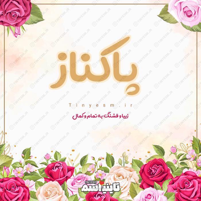 اسم پاکناز و معنی اسم پاکناز
