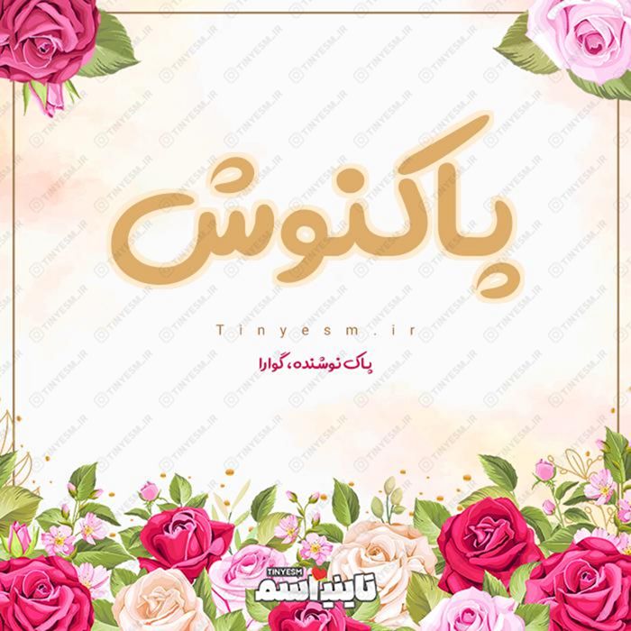 اسم پاکنوش و معنی اسم پاکنوش