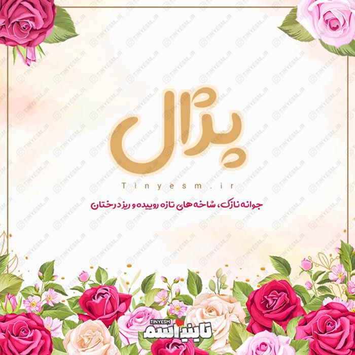 اسم پژال و معنی اسم پژال