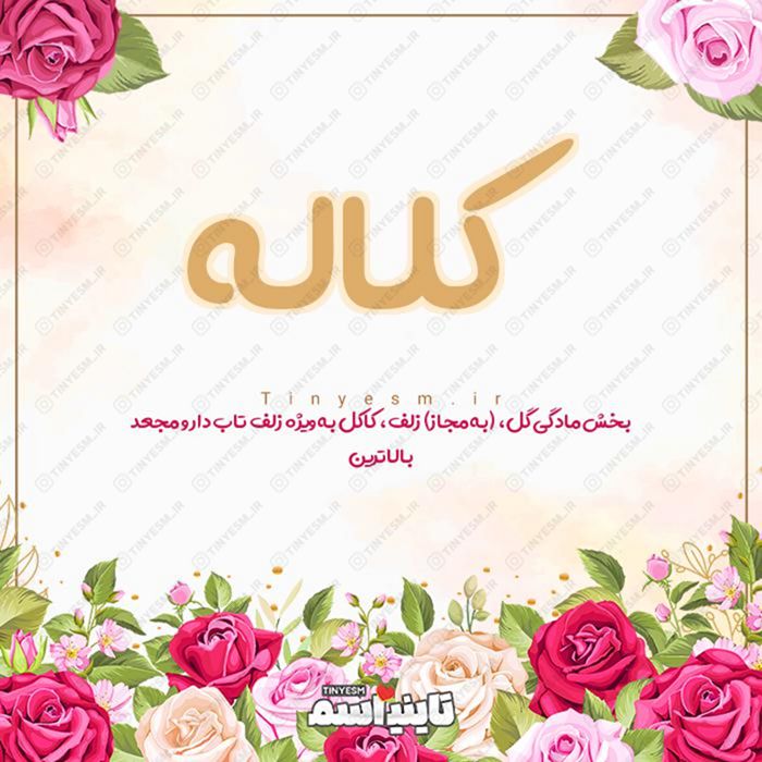 اسم کلاله و معنی اسم کلاله