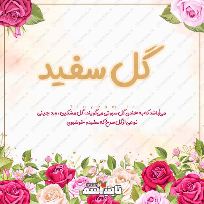 اسم گل سفید و معنی اسم گل سفید